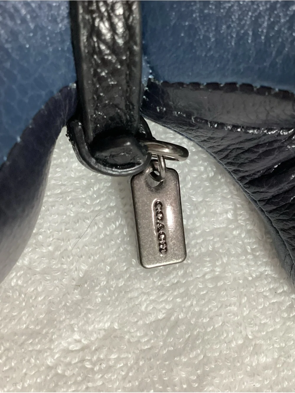 Coach Blue Colorblock Puppy Dog Paperweight with Collar & Charm Unisex
